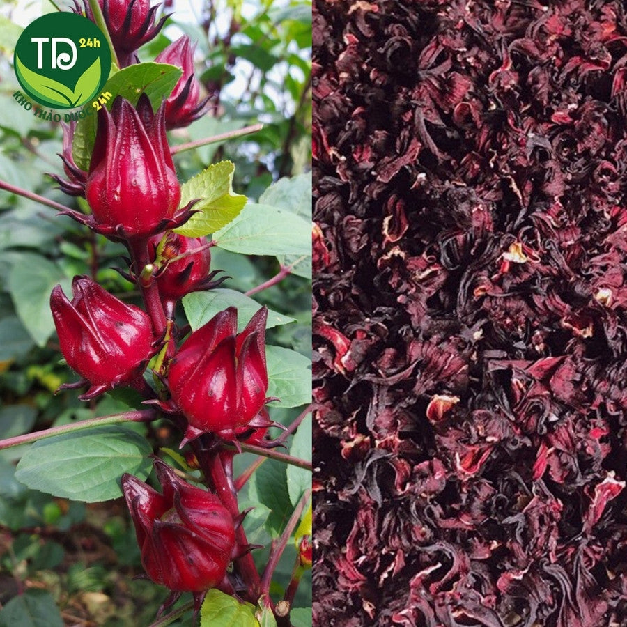 Natural Dried Hibiscus Flowers | Herbal Tea & Health Drink | Supports Cooling, Blood Pressure, Skin Beauty