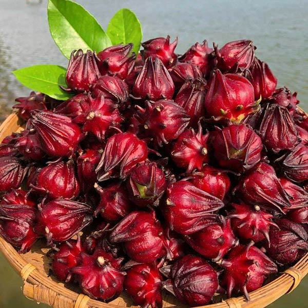 Natural Dried Hibiscus Flowers | Herbal Tea & Health Drink | Supports Cooling, Blood Pressure, Skin Beauty